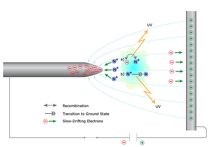 Professor Gharib Research Illustration